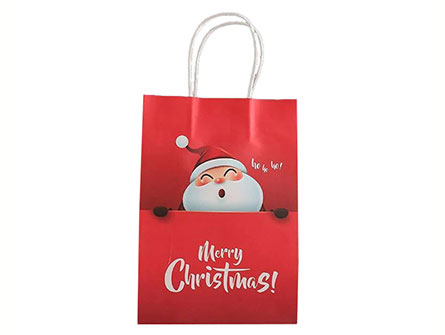 Christmas Paper Gift Bag